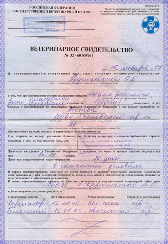 Ветеринарные справки по форме №1 - образец Ветеринарные справки по форме №1 - образец